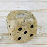 Fossil Shells & Coral Dice Candle Holder