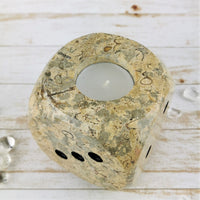 Fossil Shells & Coral Dice Candle Holder