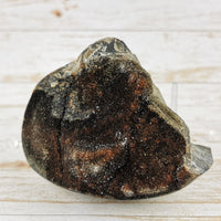 Septarian Nodule