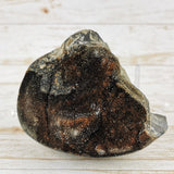 Septarian Nodule