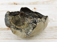 Septarian Nodule