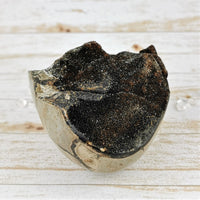 Septarian Nodule