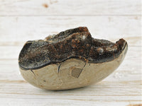 Septarian Nodule