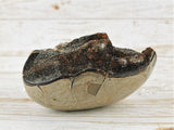 Septarian Nodule