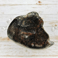 Septarian Nodule