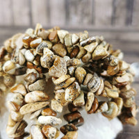 Landscape Jasper Chip Beads