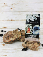 Petrified Wood