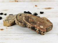 Petrified Wood, Little Slabs