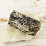 Dravite (Brown Tourmaline) Crystal
