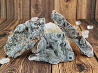 Chalcedony Conchive Pins