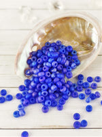 Seed Bead Blowout 30g Tubes