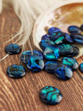 Small Circle Paua Shell Cabochons