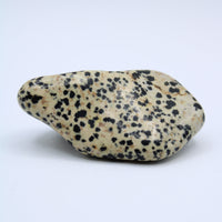 Dalmatian Jasper Free-Form