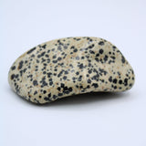 Dalmatian Jasper Free-Form