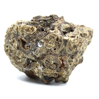 Garnet Specimen