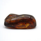 Baltic Amber Specimen