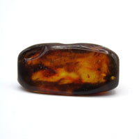 Baltic Amber Specimen