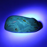 Baltic Amber Specimen