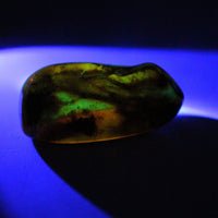 Baltic Amber Specimen