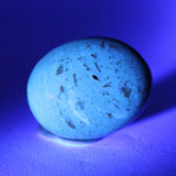 Indonesian Amber Specimen