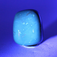 Indonesian Amber Specimen