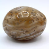 Enhydro Occo Agate Geode