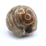 Enhydro Occo Agate Geode