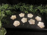 Mother of Pearl Flower Beads