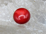 Red Coral Circle Cabochon, 10x10mm (Dyed)