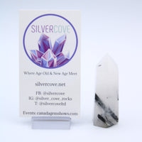 Tourmaline in Quartz Tower