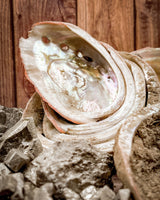 Randomly Selected Uncleaned Abalone Shells (10lbs Lots, Farm Closed)