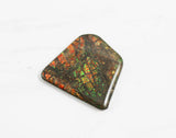 Ammolite Cabochons