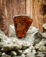 Ammolite Cabochon (Resin Coated, 7g)