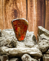 Ammolite Cabochon (Resin Coated, 7g)