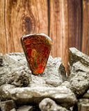 Ammolite Cabochon (Resin Coated, 7g)