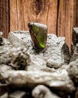 Ammolite Freeform Cabochon (Resin Coated, 3g)