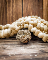 Natural Wood Bead Strands (Philippines, Pebble Shape)