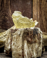Libyan Gold Tektite, 6.1g