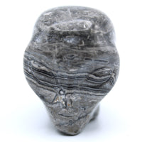Picasso Marble  Jasper Alien Head Carving