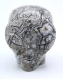 Picasso Marble  Jasper Alien Head Carving