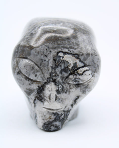 Picasso Marble  Jasper Alien Head Carving