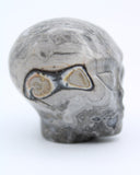 Picasso Marble  Jasper Alien Head Carving