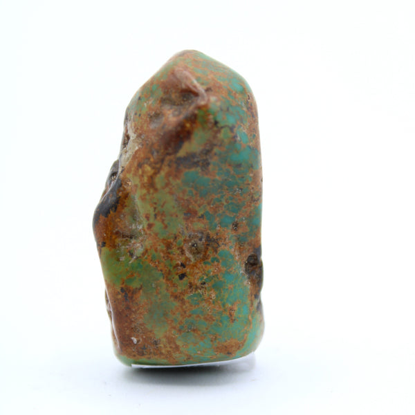 Turquoise Specimen Small