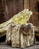 Libyan Gold Tektite, 12g