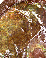 Full Ammolite Specimen  