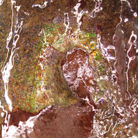 Full Ammolite Specimen  