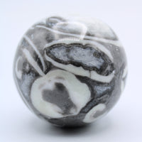 Fossilized Clam Sphere