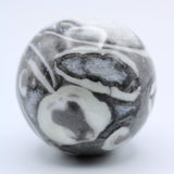 Fossilized Clam Sphere