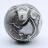 Fossilized Clam Sphere