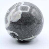 Fossilized Clam Sphere